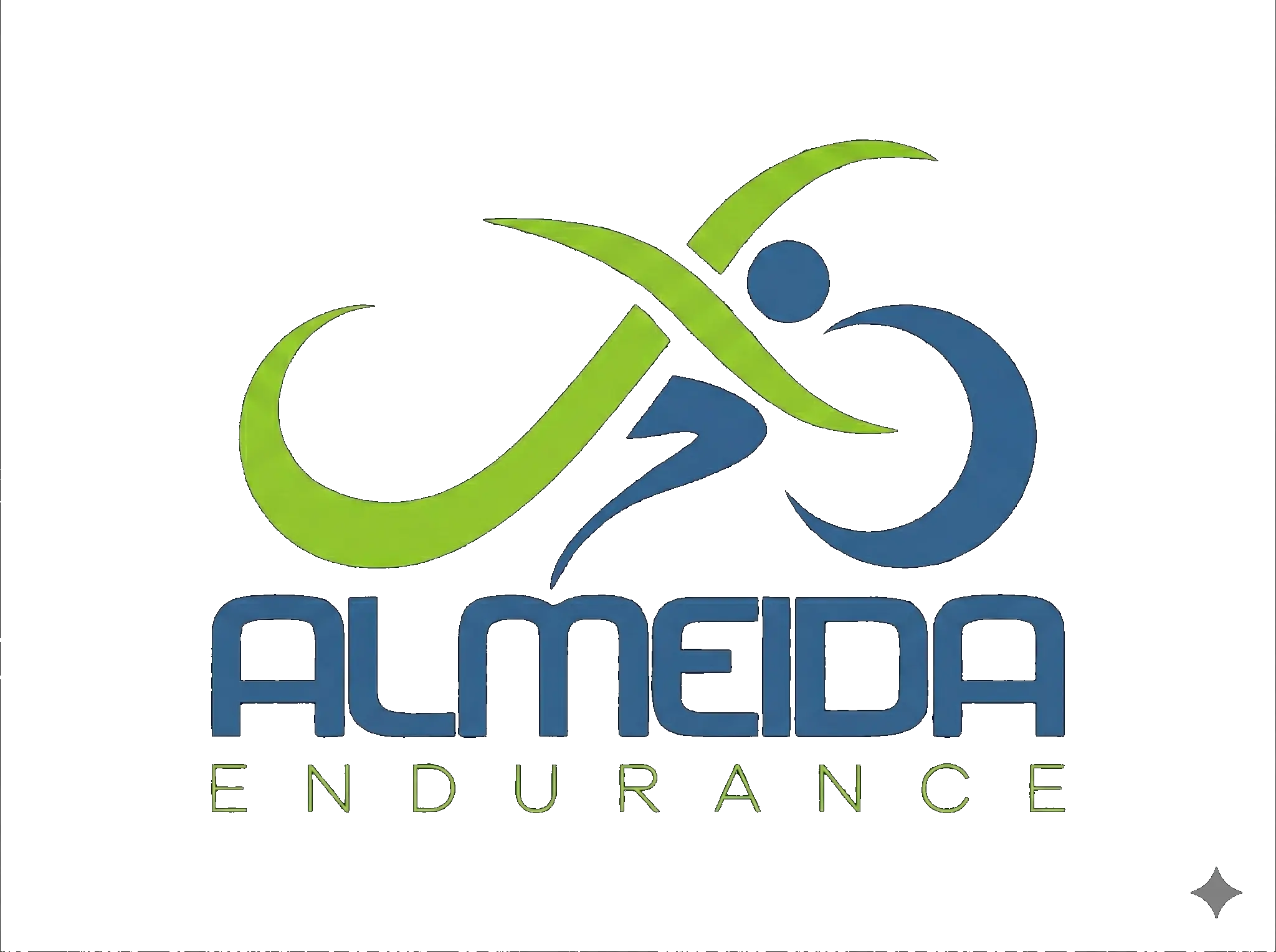 Almeida Endurance Logo